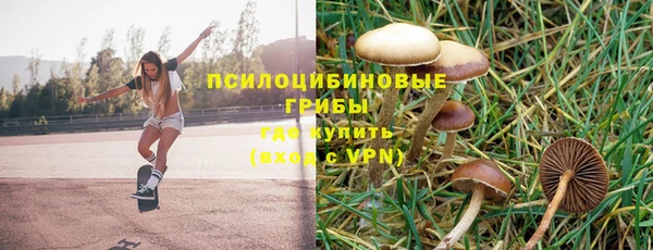 винт Алзамай