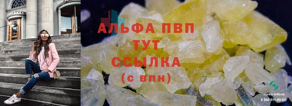 винт Алзамай