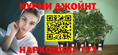 стаф Таганрог