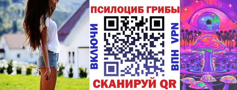 закладки  Губкин  Галлюциногенные грибы Psilocybe 
