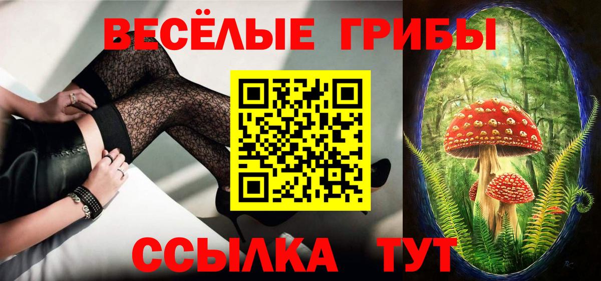 Галлюциногенные грибы мицелий Губкин
